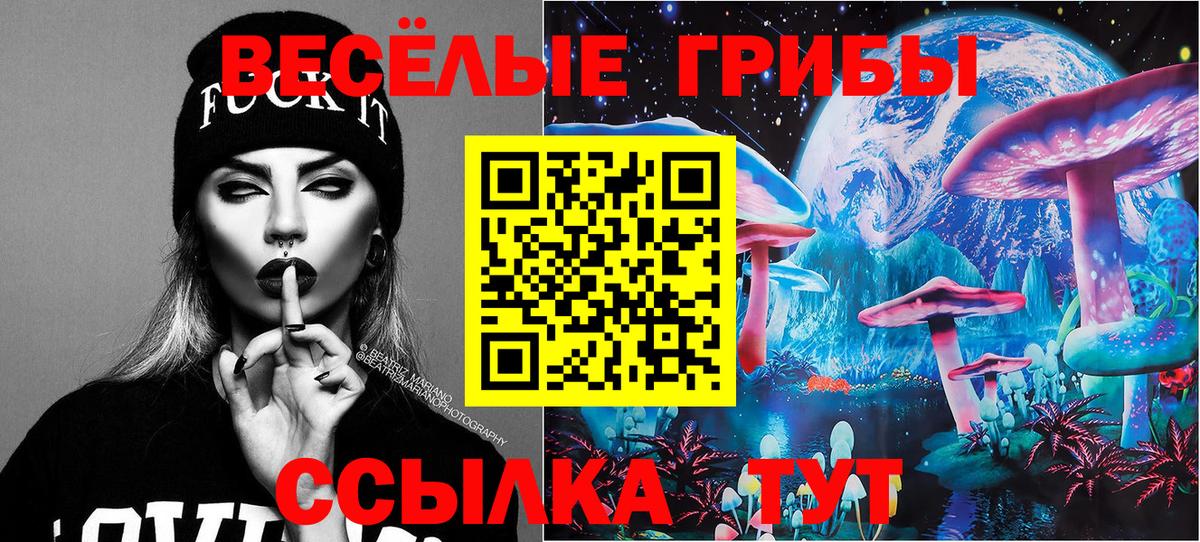Галлюциногенные грибы GOLDEN TEACHER  Вход с VPN  Медногорск 